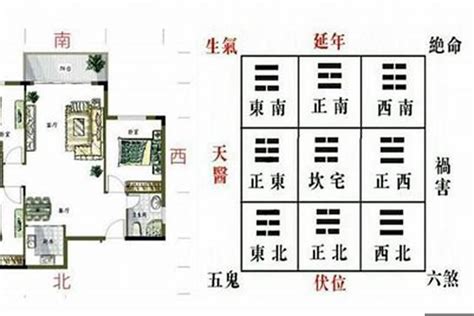 青龙位放什么植物|风水论青龙：如何在家布置青龙位？风水大师教你布置青龙位的五。